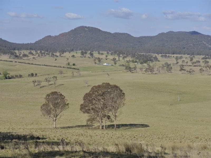 Nukoorapeta Castlerag Road, Deepwater NSW 2371