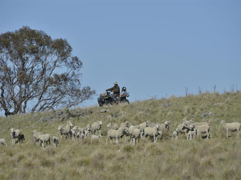 Nukoorapeta Castlerag Road, Deepwater NSW 2371