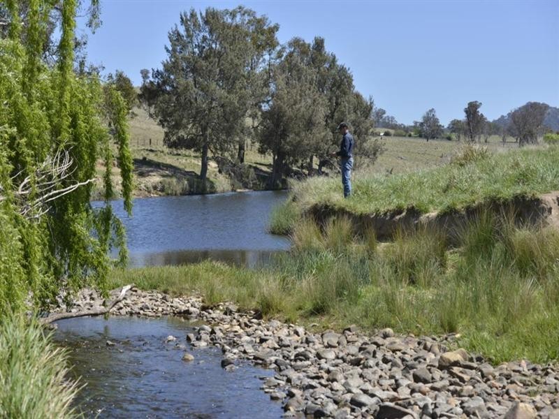 Nukoorapeta Castlerag Road, Deepwater NSW 2371