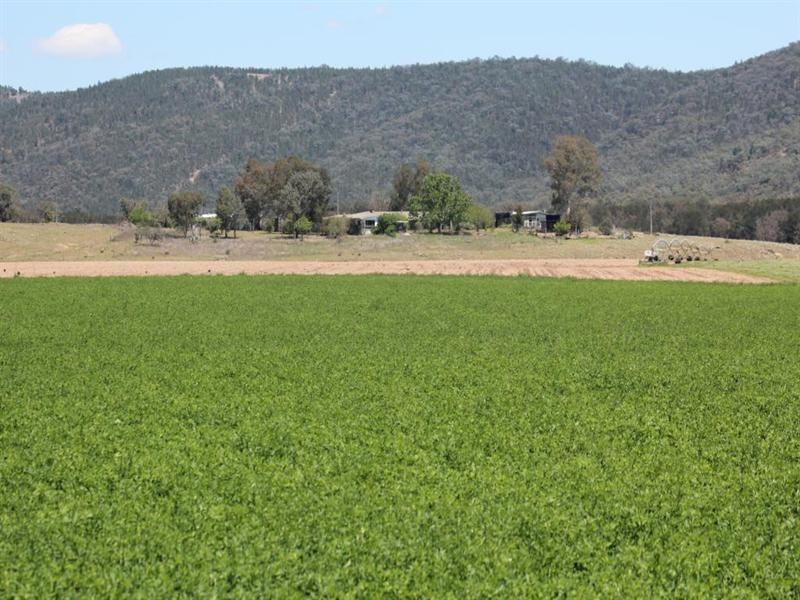 5816 Bruxner Highway, Tenterfield NSW 2372