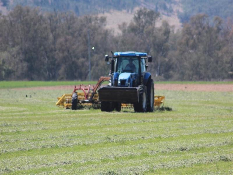 5816 Bruxner Highway, Tenterfield NSW 2372