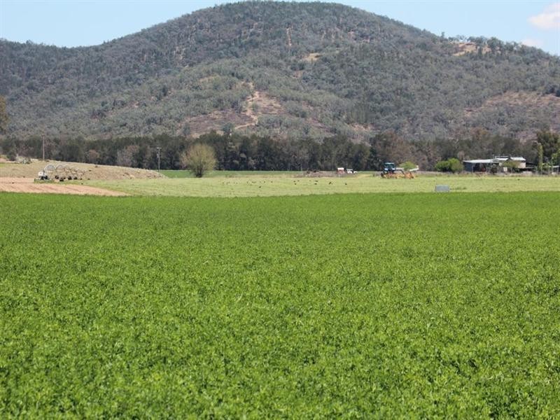 5816 Bruxner Highway, Tenterfield NSW 2372
