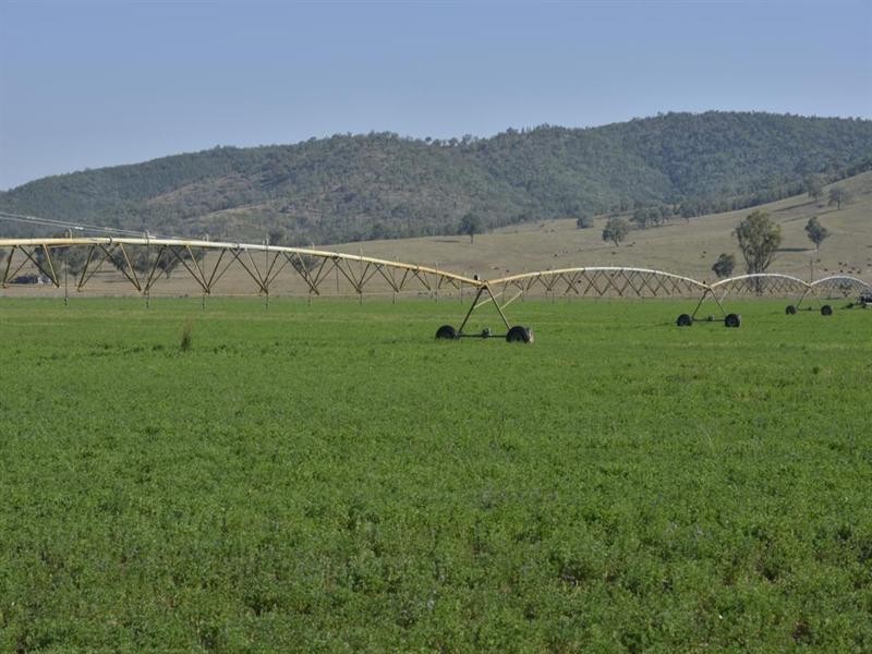 5816 Bruxner Highway, Tenterfield NSW 2372