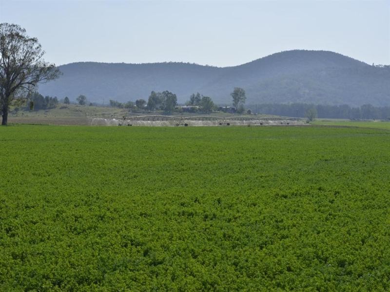 5816 Bruxner Highway, Tenterfield NSW 2372