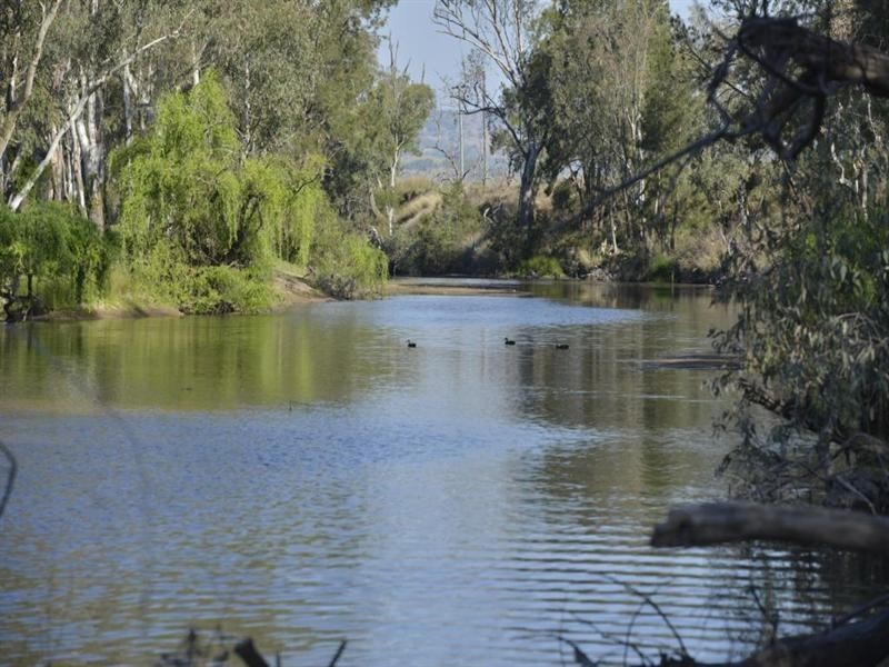 5816 Bruxner Highway, Tenterfield NSW 2372