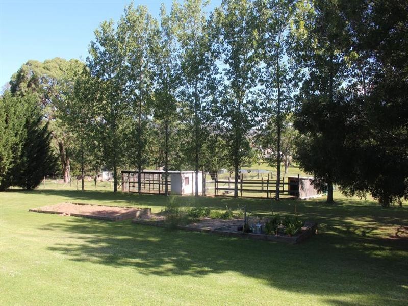 35 Petrie Street, Tenterfield NSW 2372