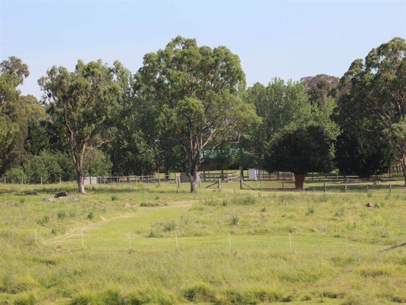35 Petrie Street, Tenterfield NSW 2372