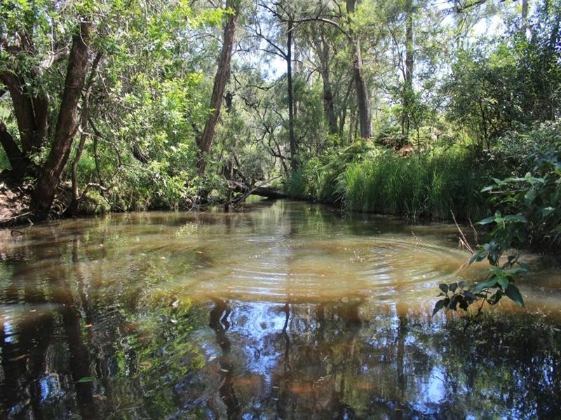 6306 Bruxner Highway, Tabulam NSW 2469