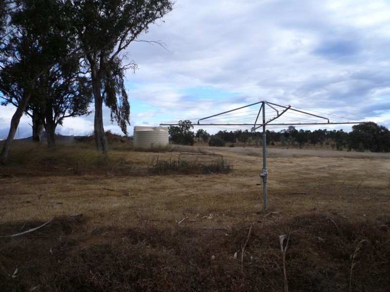 Tenterfield NSW 2372