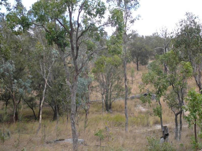 Tenterfield NSW 2372