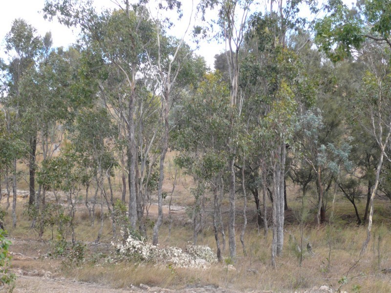 Tenterfield NSW 2372