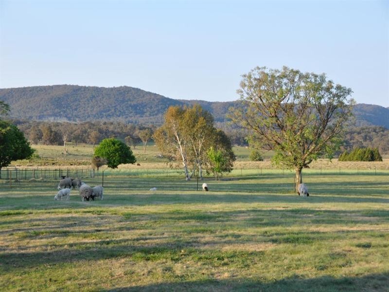 130 Homestead Road, Tenterfield NSW 2372