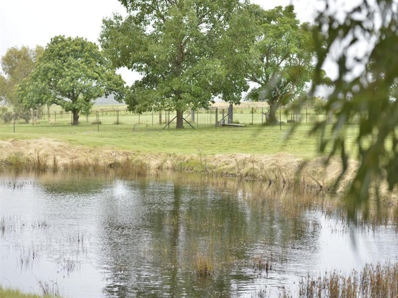 130 Homestead Road, Tenterfield NSW 2372