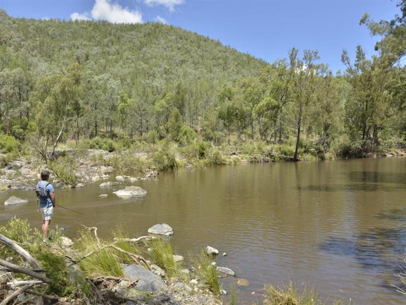 Lots 541 and 543 Bruxner Highway, Tenterfield NSW 2372