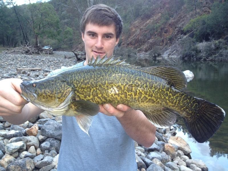 Lots 541 and 543 Bruxner Highway, Tenterfield NSW 2372