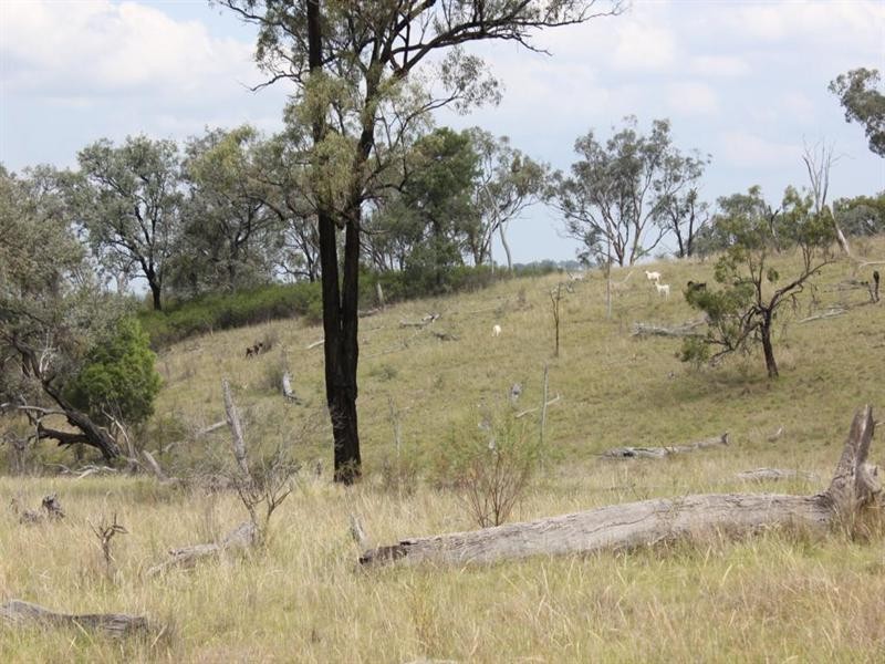 Lots 541 and 543 Bruxner Highway, Tenterfield NSW 2372