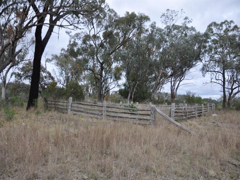 Lots 541 and 543 Bruxner Highway, Tenterfield NSW 2372