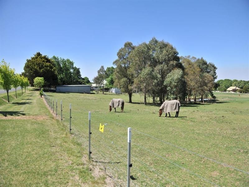 17 Naas Street, Tenterfield NSW 2372