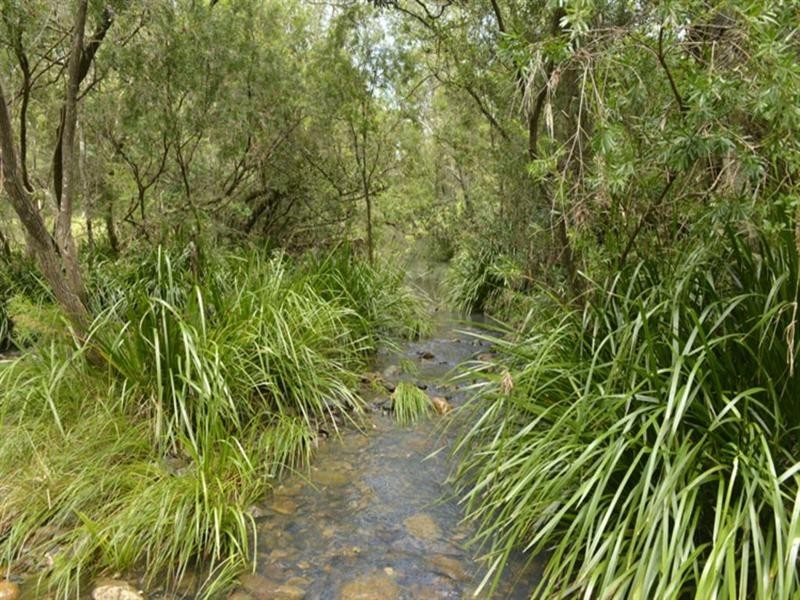 “Oak Hollow” Oak Hollow Road, Drake NSW 2469
