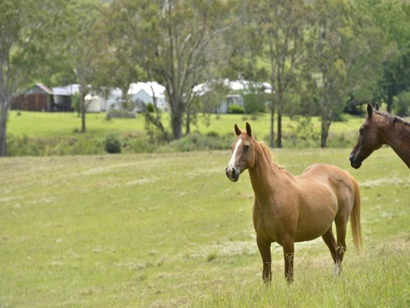 “Oak Hollow” Oak Hollow Road, Drake NSW 2469