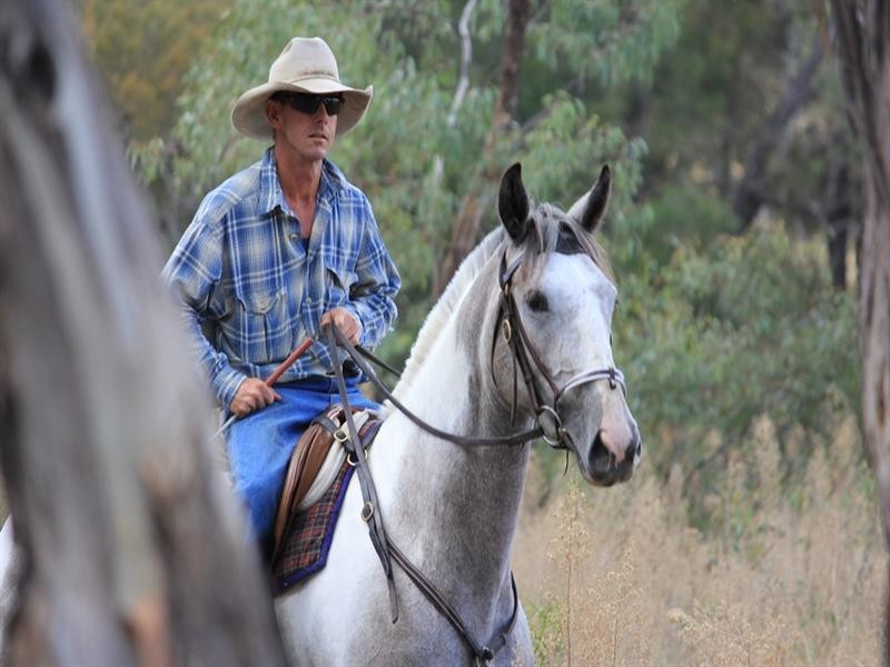 Rosneath Stn Bruxner Highway, Tenterfield NSW 2372