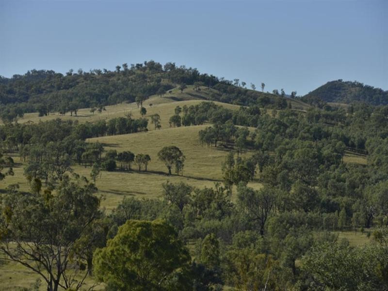 Rosneath Stn Bruxner Highway, Tenterfield NSW 2372