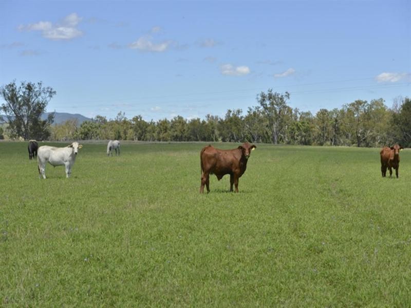 Rosneath Stn Bruxner Highway, Tenterfield NSW 2372