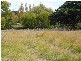 Tenterfield NSW 2372