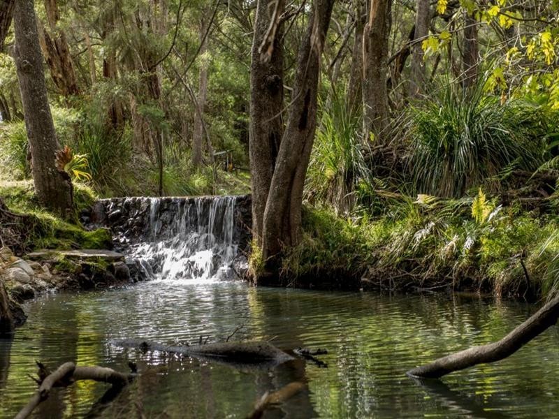 1037 “Wyuna” Woodside Road, Tenterfield NSW 2372