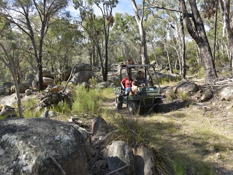 1037 “Wyuna” Woodside Road, Tenterfield NSW 2372