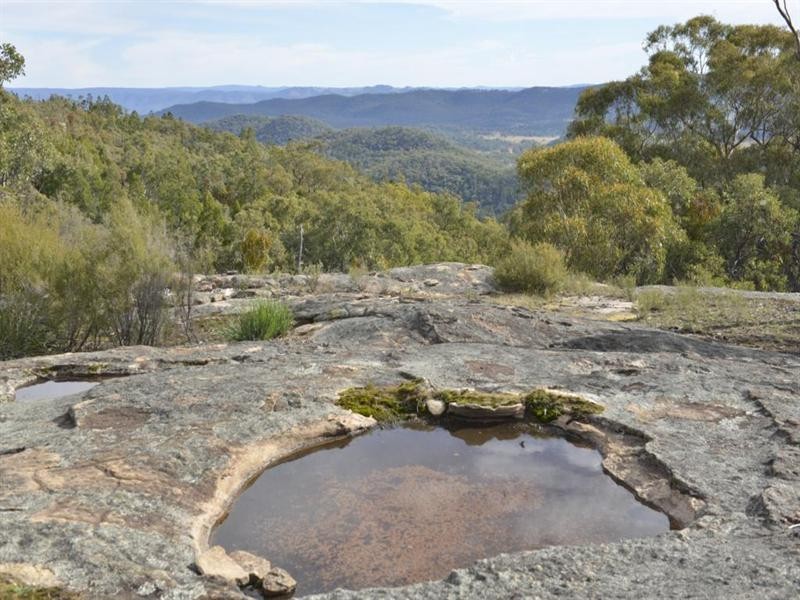 1037 “Wyuna” Woodside Road, Tenterfield NSW 2372