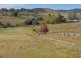 11811 Bruxner Highway, Tenterfield NSW 2372