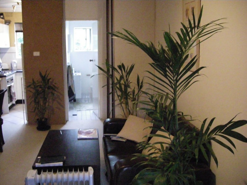 104 Alice Street, Newtown NSW 2042