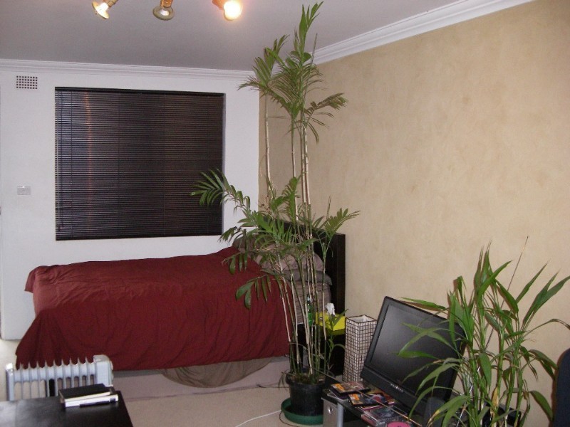 104 Alice Street, Newtown NSW 2042