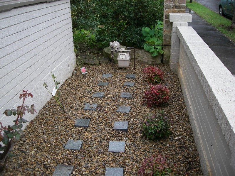 10 Bishop Street, Petersham NSW 2049