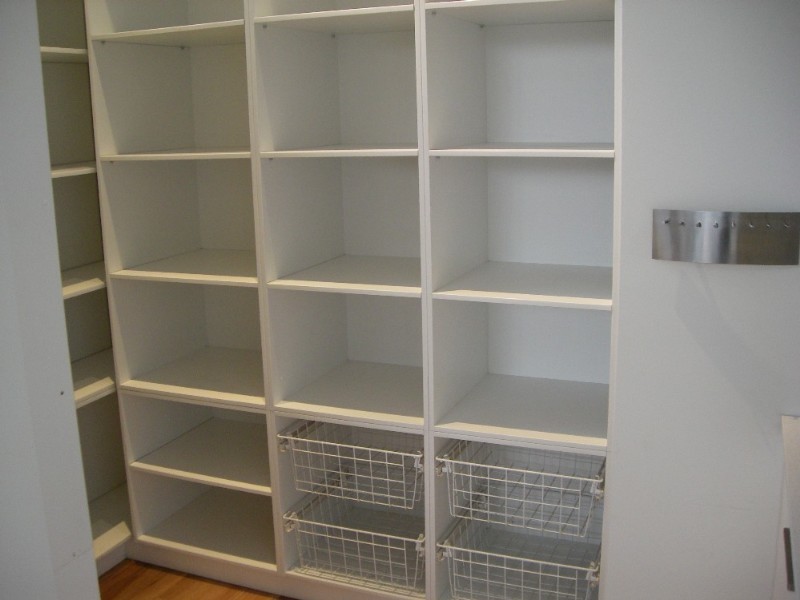 10 Bishop Street, Petersham NSW 2049