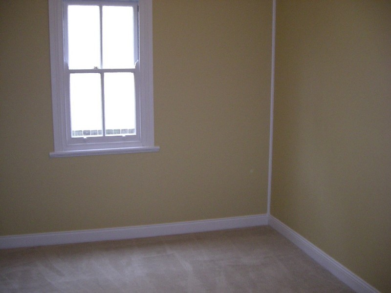 10 Bishop Street, Petersham NSW 2049