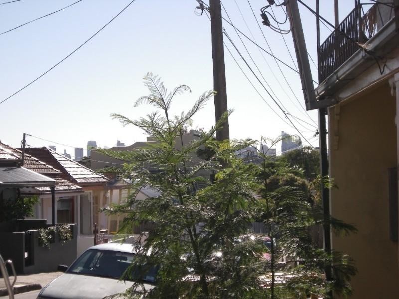 19 Robert Street, Petersham NSW 2049