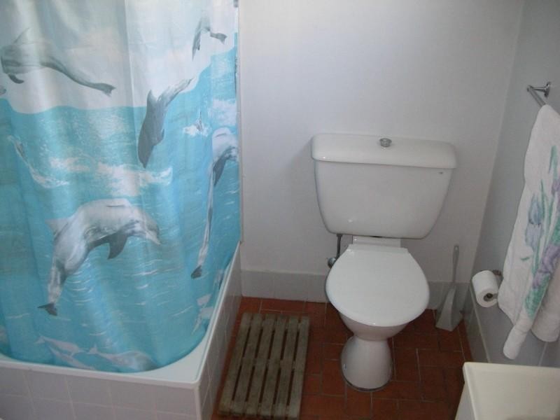 19 Robert Street, Petersham NSW 2049