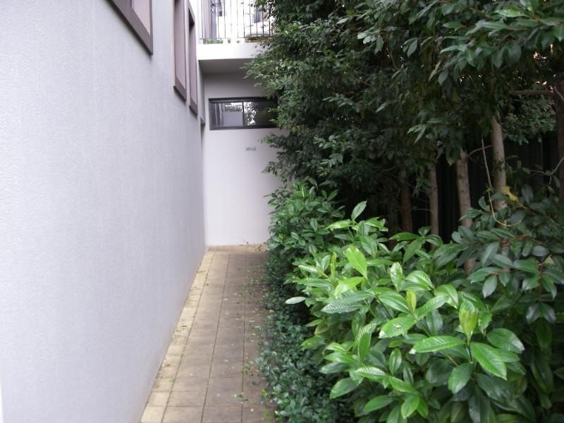 5/29 George Street, Marrickville NSW 2204