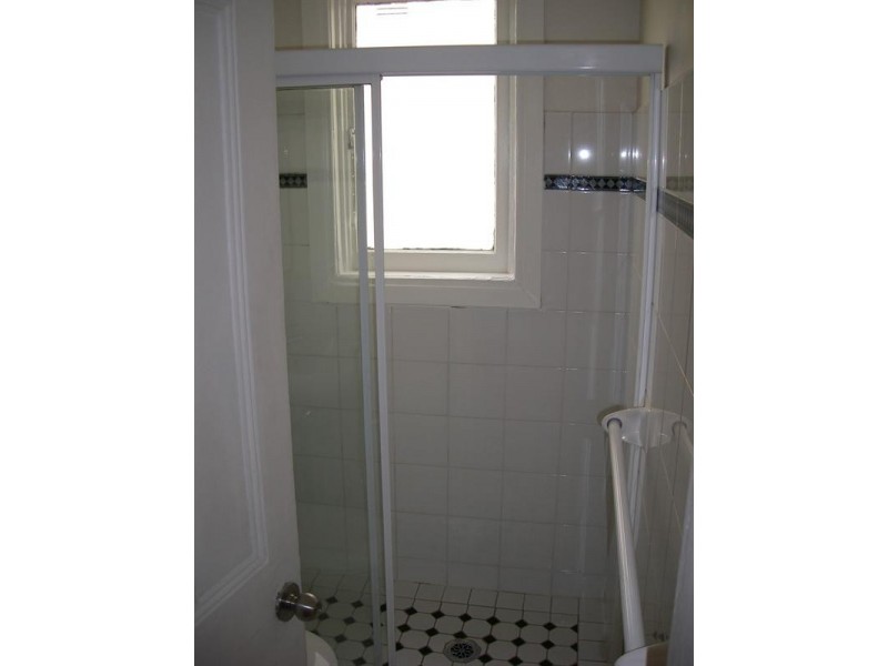 48 Crystal Street, Petersham NSW 2049