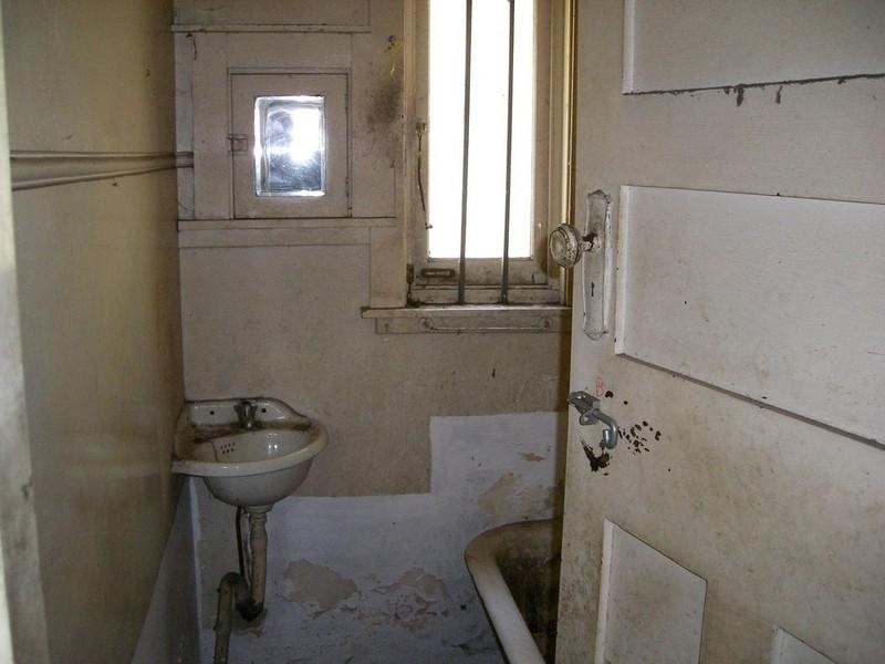 38 Morton Avenue, Lewisham NSW 2049