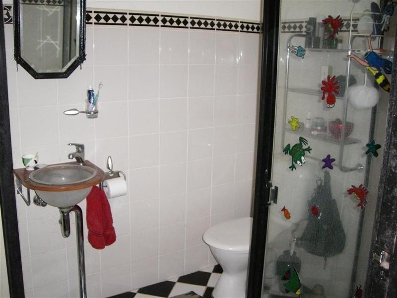 243 TRAFALGAR Street, Stanmore NSW 2048