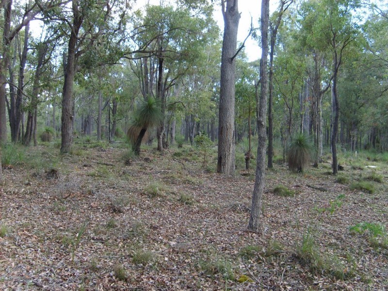 North Dandalup WA 6207