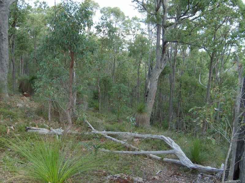 North Dandalup WA 6207