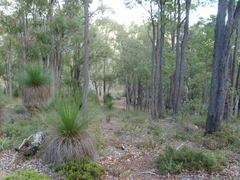 North Dandalup WA 6207
