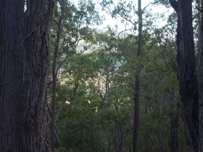 North Dandalup WA 6207