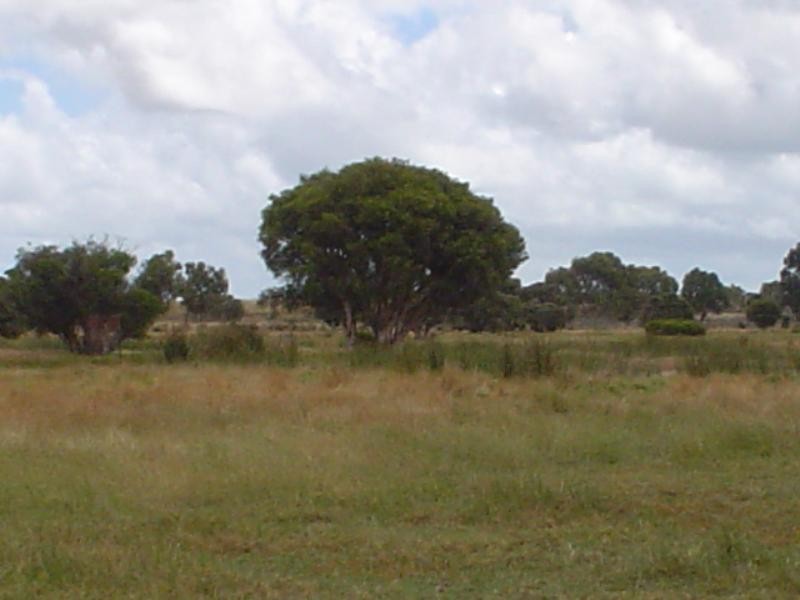 Ravenswood WA 6208