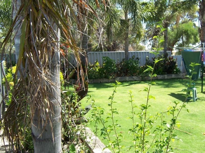 6 Boronia Close, Pinjarra WA 6208