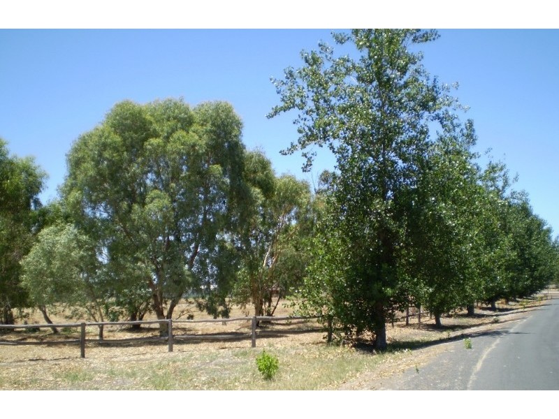20 Champion Retreat, Pinjarra WA 6208